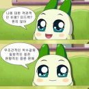 엘담네일 | ~ 06.08 일상 모음.zip (밀양 엘담스테이/ 남포동 닭썸/ 거제 산봉쌈밥)