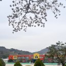 상사보건지소 이미지