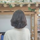 세종헤어샵 - 유성구 | 세종헤어샵