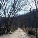 생각보다싼악기사 이미지