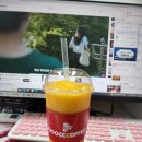 천씨씨커피 탑동점 홍시스무디 내돈내산 후기