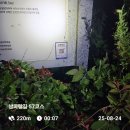 남파랑길 제30차 원포버스정류장(57코스)~서촌마을(58코스)~관기방조제까지 걷기 이미지