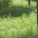 굿제이산부인과의원 이미지