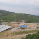 삼밭골목장 네이버블로그