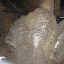 바보온달 이미지