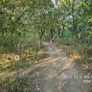 광평교 화장실 이미지