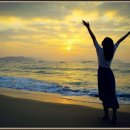 아름다움 이미지