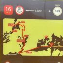 팔공산 둘레길 16구간 이미지