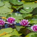 사성공원 이미지