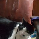 혜민농장 이미지