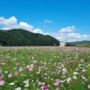 메밀영농조합법인 이미지