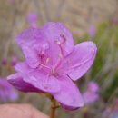 대월초교 이미지