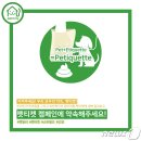 펫밀리# 이미지