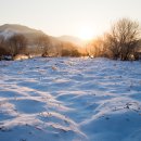 섬진강 침실습지 이미지