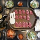 육덕돼지 이미지