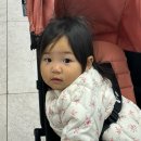 행복하고신나는행신수족관 | 육아일기 #65. 새로운 시작을 준비하며 (D+751 ~ D+765)