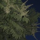 물야초등학교 이미지