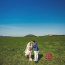 적당한 날 이미지