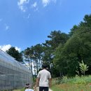 용인 동물체험 아이랑 가볼 만한 곳 한터농원, 한터조랑말농장, 한터그린빌리지