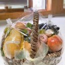 라.FRUTA