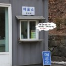 영주DD Daum카페