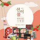 힐리언스 이미지