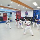 석사 경희대 효 태권도 이미지