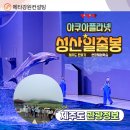 오대양다이빙 | 가냐고? 성산일출봉과 아쿠아리움(아쿠아플라넷)찐 후기!! 현장체험학습,수학여행까지 관광 코스 안내