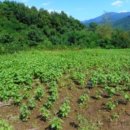 아주경로당(웅양면) 이미지