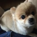 기다리다 이미지