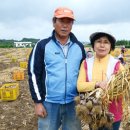 이창환농장 이미지