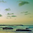 습관도 습관이다 이미지