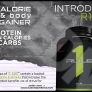 케이스포츠 이미지