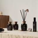 늦게 찾아온 만큼 더 곱다. 화 담 숲 만 추 프로모션 이미지