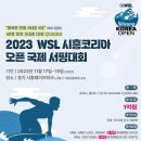 서프리그 이미지