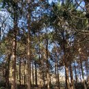 람사르습지길 이미지