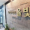 법무법인 율빛 믿고맡기세요대구법인회생파산