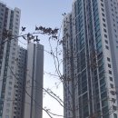 행복한캐슬공인중개사사무소 이미지