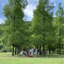 노작호수공원 이미지