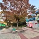 신수민스킨케어 네이버블로그