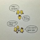 과일아재