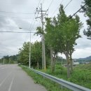 버스정류장_남평농협 이미지