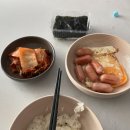 7말 8중,, 탈탈탈 (๑‾᷆д‾᷇๑)