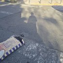 정관장 앞 횡단보도 이미지