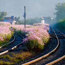 아름다운 약속 이미지