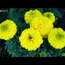 송정섭농장 이미지