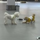 말랑말랑 이미지