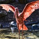 성화이용원 이미지