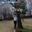 오산리최자실기념금식기도원 | 서울 근교 벚꽃 나들이 명소 🌸 파주 오산리기도원 벚꽃 실시간 후기! 개화 시기