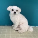 킨더그루밍 이미지